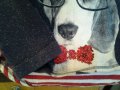 Блуза с куче и пайети на Next за 9 г , снимка 3