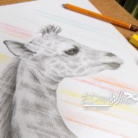 Рисунка "Жирафче" с рамка, снимка 3 - Картини - 23701240