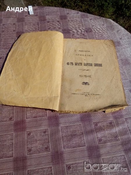 Книга 40-те Братя царски синове, снимка 1