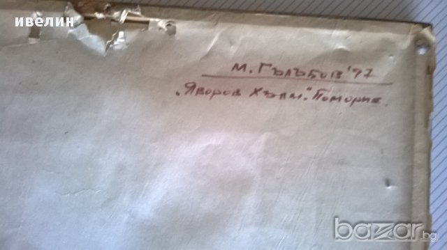 картина-яворов хълм-поморие на м.гълъбов, снимка 6 - Картини - 14321818