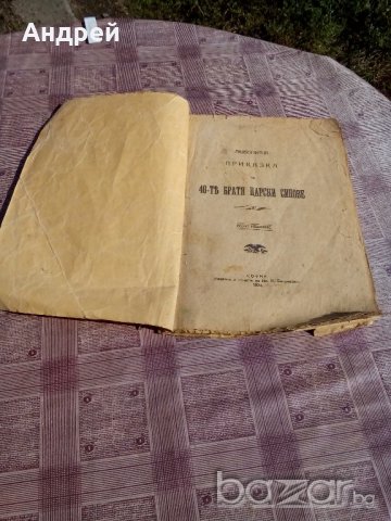 Книга 40-те Братя царски синове, снимка 1 - Антикварни и старинни предмети - 19536269