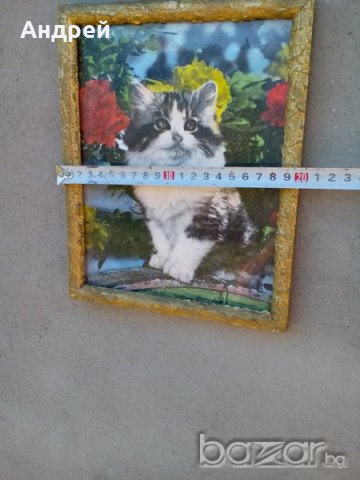 Старинна картина, снимка 3 - Антикварни и старинни предмети - 16893784