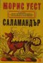 Саламандър, снимка 1 - Художествена литература - 18901852