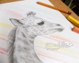 Рисунка "Жирафче" с рамка, снимка 3