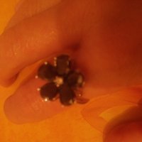 Прекрасен пръстен цвете с черни и бели камъчета, снимка 1 - Пръстени - 19155234