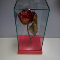 Роза за за свети валентин или 8 март, снимка 10 - Декорация за дома - 13751762