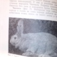 въпроси и отговори за зайцевъдството-съвети за личното стопанство, снимка 2 - Енциклопедии, справочници - 9661625