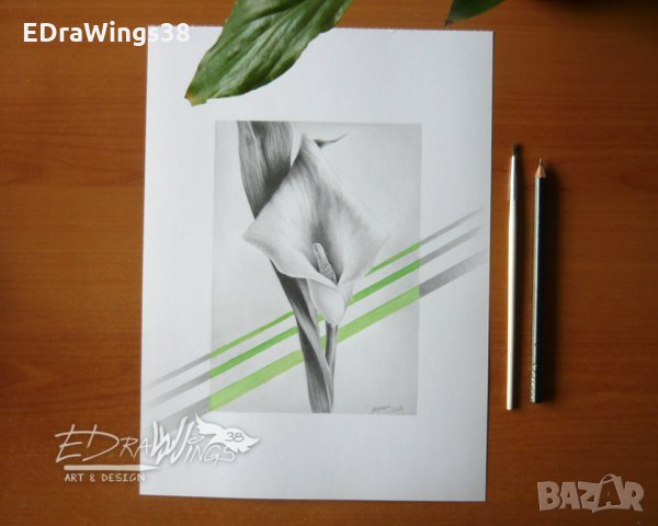Картина "Цвете Кала" Рисунка с молив и акварел, снимка 3 - Картини - 22223900