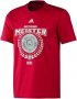 adidas Bayern Munich Champions T-Shirt, снимка 11