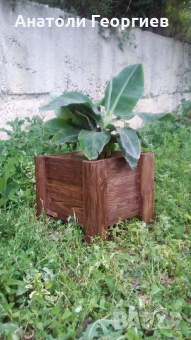 Дървени саксии (кашпи) за растения, снимка 7 - Саксии и кашпи - 21636607