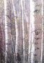 Мелодии русского леса, снимка 3