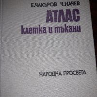 Атлас - клетка и тъкани, снимка 2 - Учебници, учебни тетрадки - 24754270