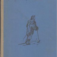 Амундсен - последният викинг.  Едуар Калик, снимка 1 - Художествена литература - 14124846