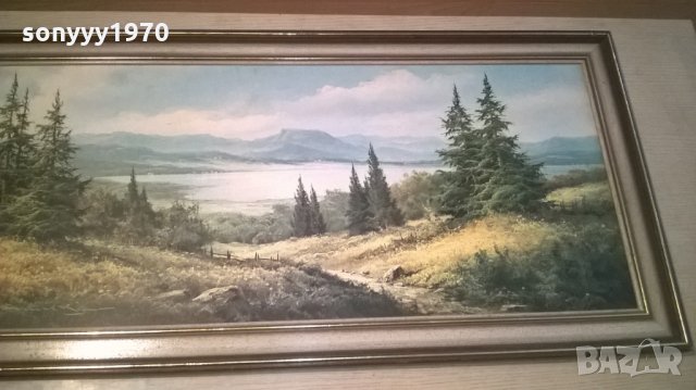 картина с рамка-внос швеицария-111х51см, снимка 7 - Колекции - 25516623