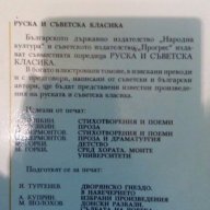 Железният поток / Разгром - Александър Серафимович / Александър Фадеев, снимка 2 - Художествена литература - 15315824