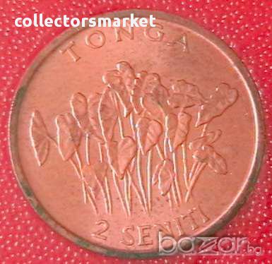 2 сенити 1981 FAO, Тонга, снимка 1