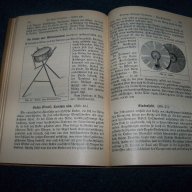 "Инструментите на оркестъра" стара немска книга от 1913г., снимка 8 - Чуждоезиково обучение, речници - 15347446