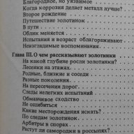 О чем рассказывают золотинки - Л. А. Николаева, снимка 5 - Художествена литература - 14170608