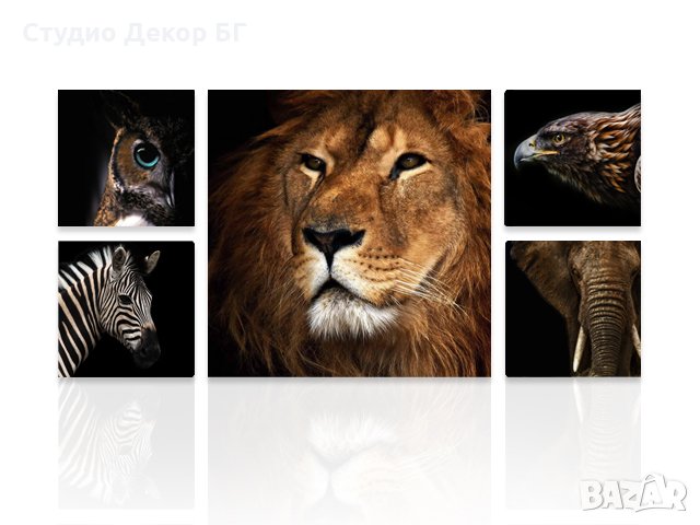 КАРТИНА ДИВИ ЖИВОТНИ 5 ЧАСТИ , снимка 2 - Картини - 24894475