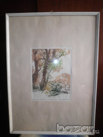 Подписана картина"Стари дървета"-суха игла-1985година, снимка 2 - Други ценни предмети - 16531745