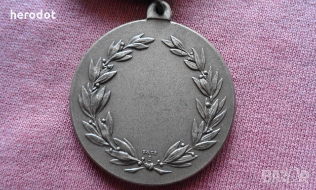 Шведски ВОЕНЕН орден, медал, знак - За точна стрелба - 2, снимка 4 - Нумизматика и бонистика - 25920377