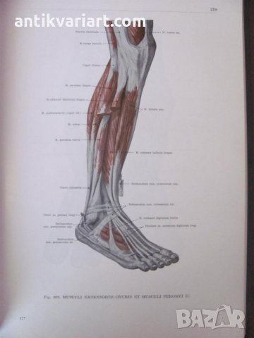 1971г. Медицинска Книга Анатомичен Атлас Том1-ви, снимка 18 - Други - 25936774