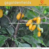 Жълто годжи бери(yellow Gojierry)(