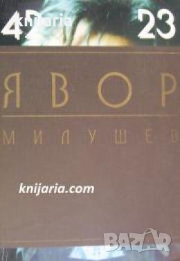 42 23 , снимка 1