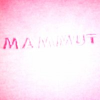 Mammut, снимка 4 - Потници - 19786355