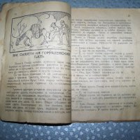 "Пижо и Пендо-хумористични стихове, разкази и диалози на шопски диалект", снимка 4 - Художествена литература - 20895564