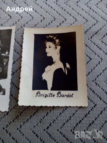 Стара снимка,картичка Бриджит Бардо,Brigite Bardott, снимка 3 - Антикварни и старинни предмети - 25791187