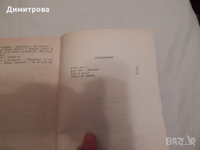 Южно клонче - Михаил Рошчин, снимка 3 - Художествена литература - 23881866