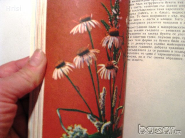 Дъга от цветя, снимка 10 - Специализирана литература - 18492514