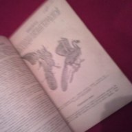 Зоология за 6 и 7 клас - 1954 г. , снимка 4 - Специализирана литература - 16952330