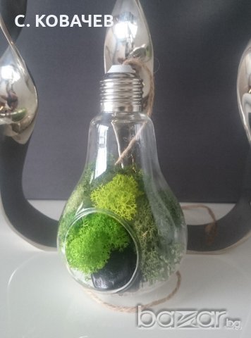 Уникална, модерна, стъклена арт декорация тип крушка от естествен мъх, снимка 5 - Декорация за дома - 18388892