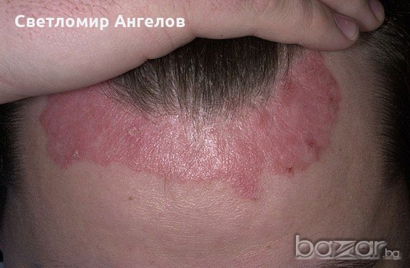 Крем мелкфет с екстракт от невен - 250мл. от Dr. Förster, Germany+подарък , снимка 7 - Козметика за тяло - 11294366