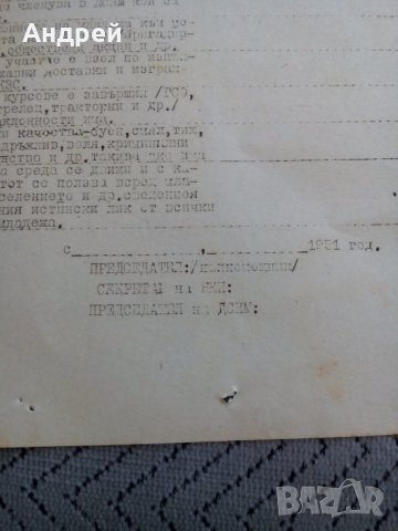 Стара бланка сведение за младежа, снимка 5 - Антикварни и старинни предмети - 23964222