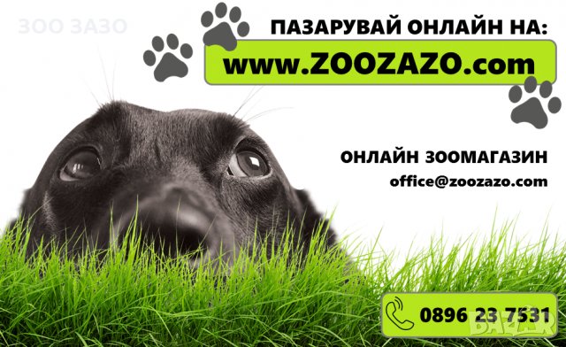 Поилка за път пластмасова - 500мл. - Модел: 83607, снимка 3 - За кучета - 25854795