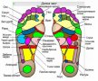 Десет броя пластири за детоксикация, снимка 3