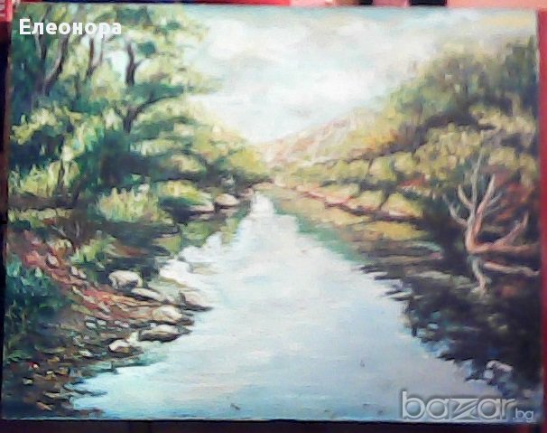 картина,,ропотамо'', снимка 2 - Картини - 10633374