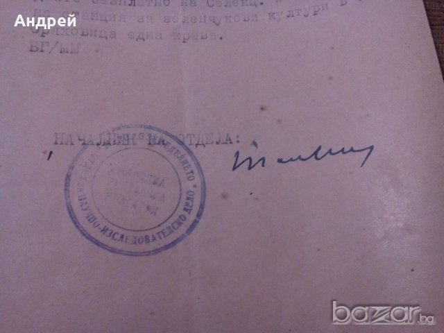 Стар документ 1938г., снимка 4 - Антикварни и старинни предмети - 19477082
