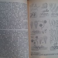 Книги за биология и медицина: „Милиарди микроби“ – автор Курт Е.Линднер, снимка 13 - Енциклопедии, справочници - 23429622