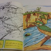 Книжка за оцветяване, снимка 2 - Детски книжки - 19495061