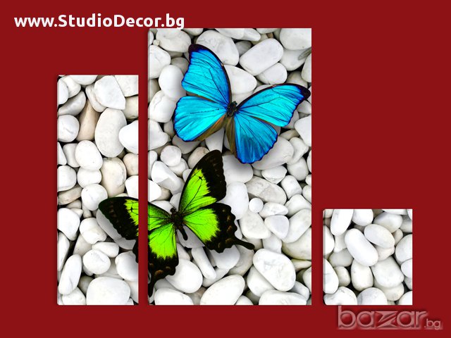 Картина Пеперуди #168, снимка 2 - Пана - 10010996