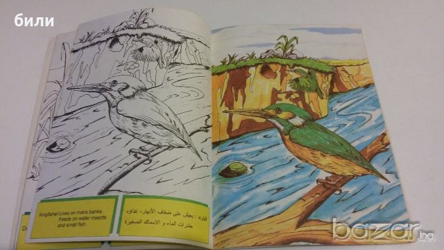 Книжка за оцветяване, снимка 2 - Детски книжки - 19495061