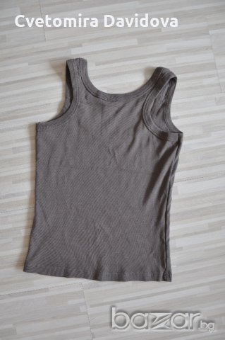 Потник кафяв, снимка 2 - Потници - 18791811