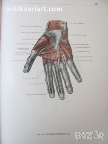 1971г. Медицинска Книга Анатомичен Атлас Том1-ви, снимка 17 - Други - 25936774