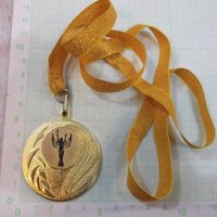 Медал "Купа Никола Йорданов - Русе 6 и 7 юни 2015", снимка 4 - Други ценни предмети - 23809018