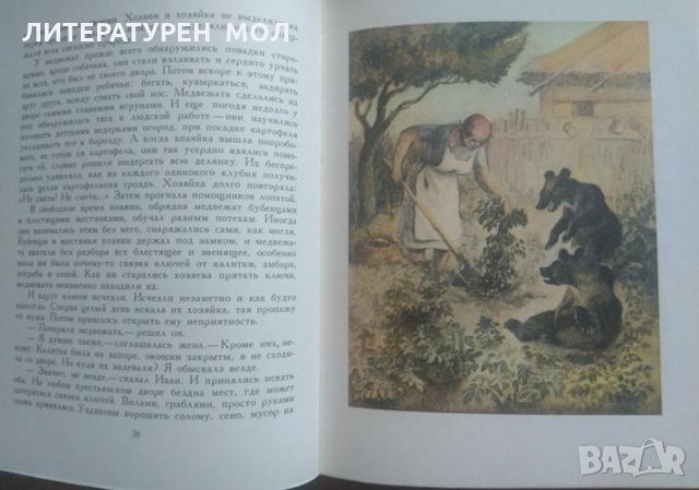 Книга былей и небылиц про медведей и медведиц. Алексей  Кожевников 1983 г., снимка 3 - Детски книжки - 26176689