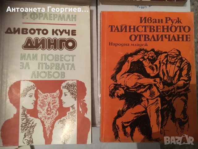Кратки романи- известни писатели, снимка 2 - Художествена литература - 25159749